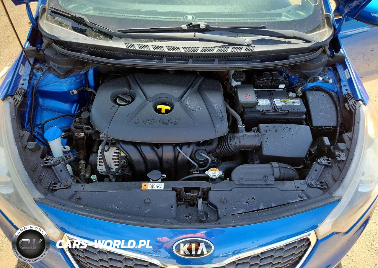 2015 Kia Forte Ex VIN:KNAFX4A85F5365171 - 11
