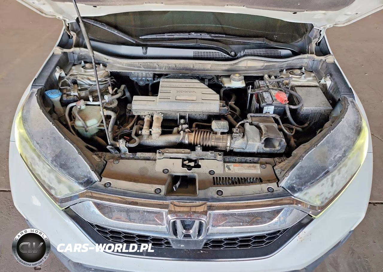 2019 Honda Cr-V Ex VIN:2HKRW1H51KH511962 - 12