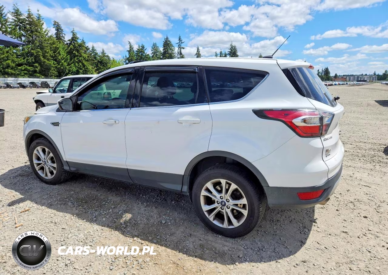 2017 Ford Escape Se VIN:1FMCU0G99HUB04735 - 2