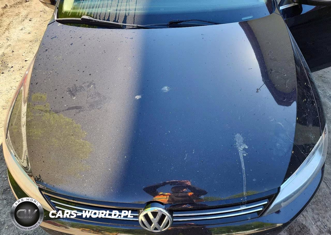 2013 Volkswagen Jetta Se VIN:3VWDP7AJ5DM210056 - 11