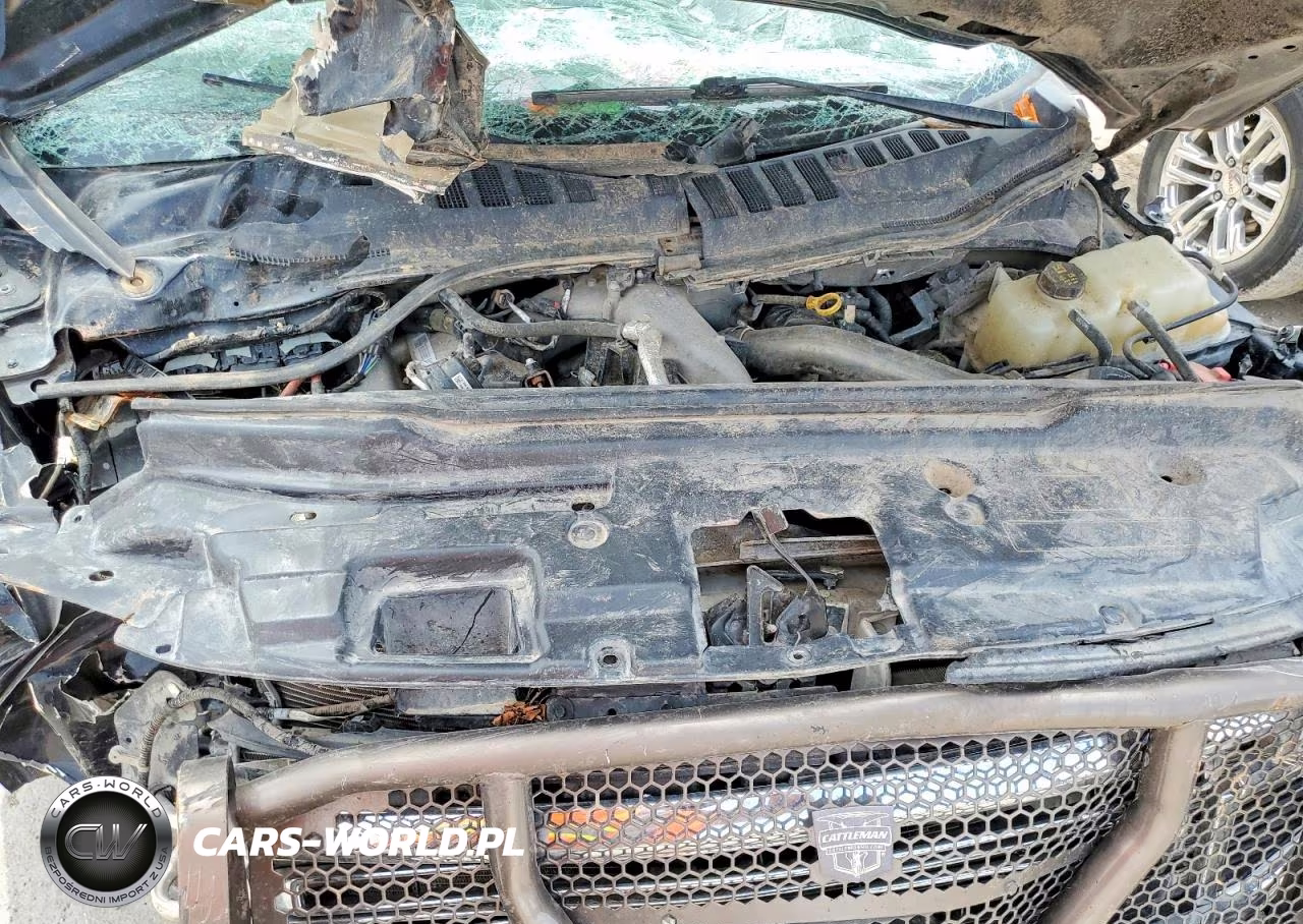 2022 Ford F350 Super Duty VIN:1FT8W3DT2NEG24612 - 11