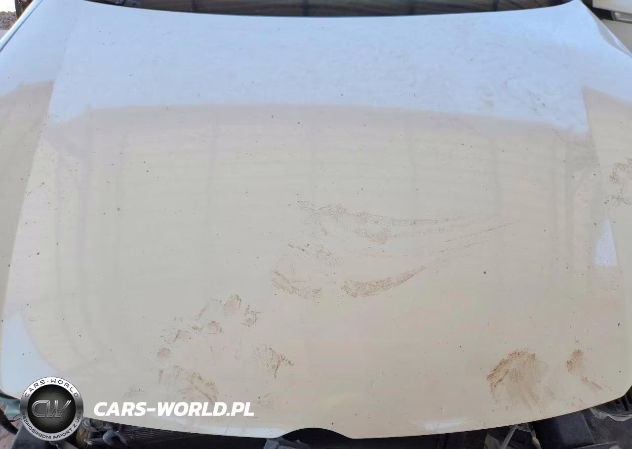 2008 Volkswagen Gti VIN:WVWFV71K38W084702 - 11