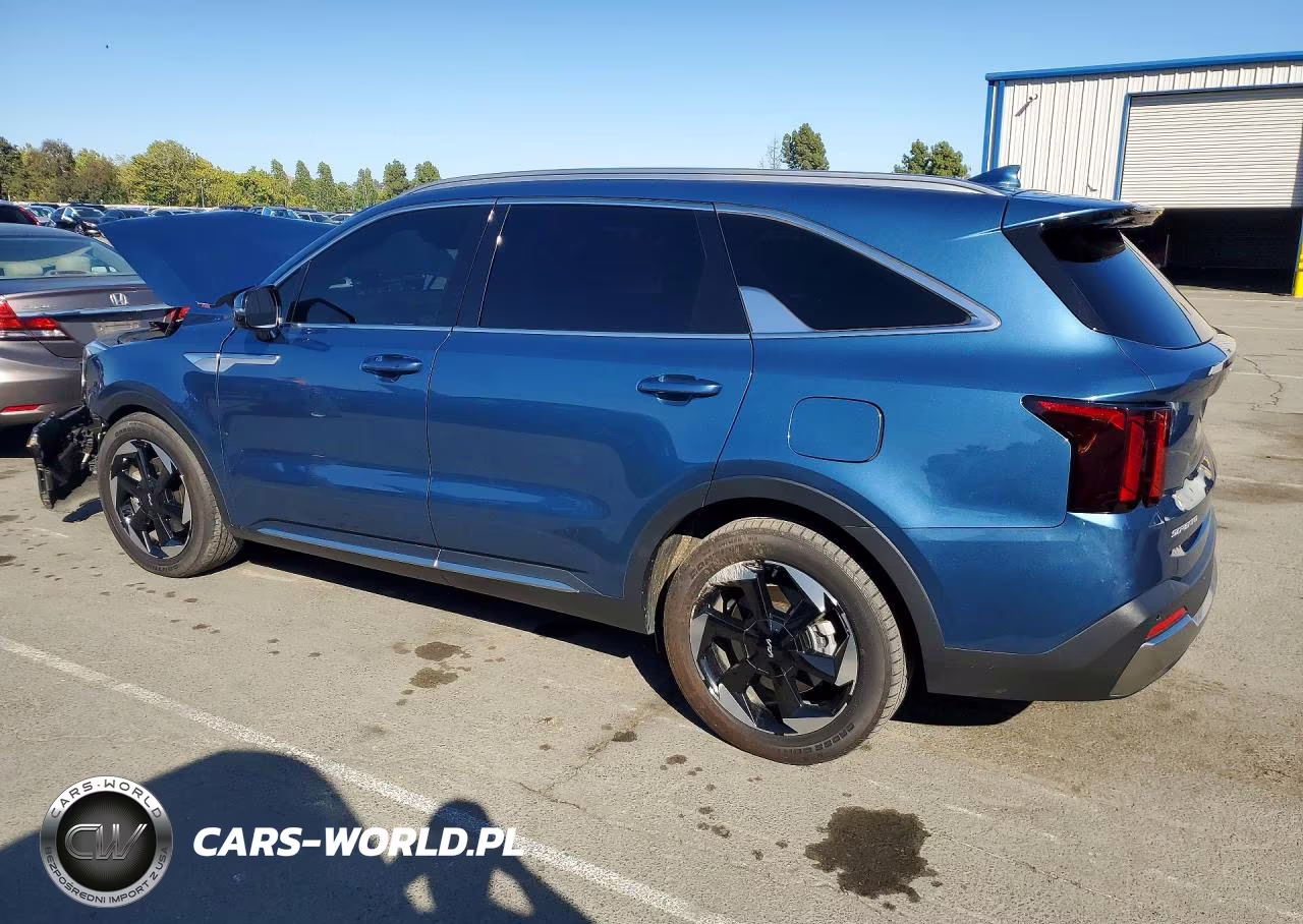 2025 Kia Sorento Ex VIN:KNDRH4JG6S5309402 - 2