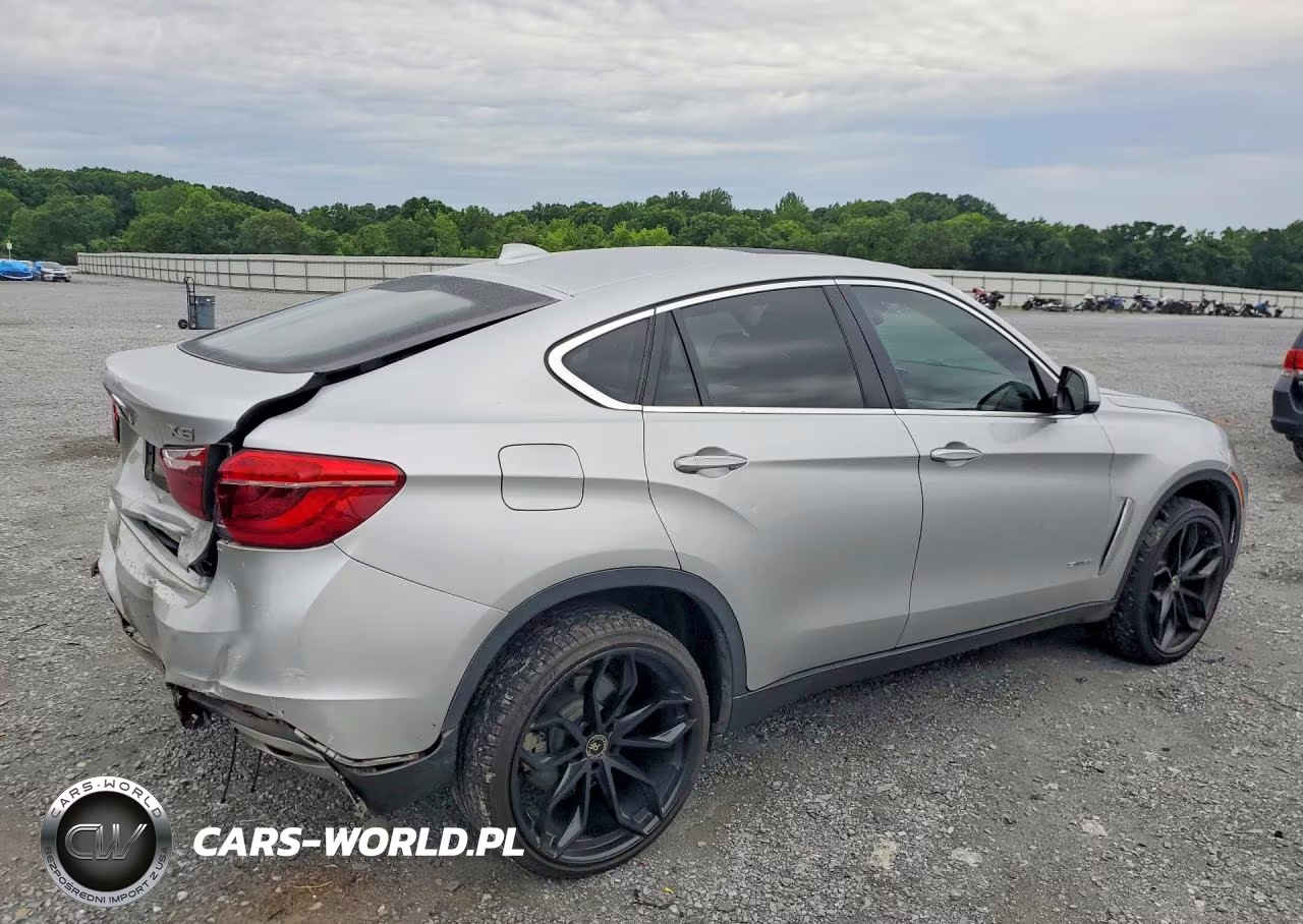 2016 BMW X6 Sdrive35I VIN:5UXKU0C5XG0F93060 - 3