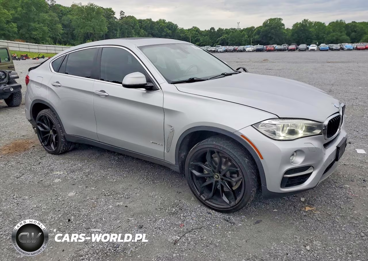 2016 BMW X6 Sdrive35I VIN:5UXKU0C5XG0F93060 - 4