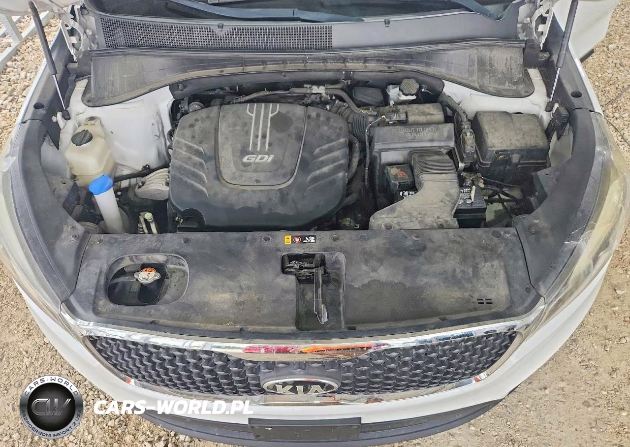 2017 Kia Sorento Lx V6 VIN:5XYPG4A55HG217741 - 12