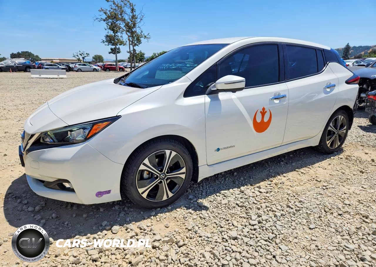 2019 Nissan Leaf Sl