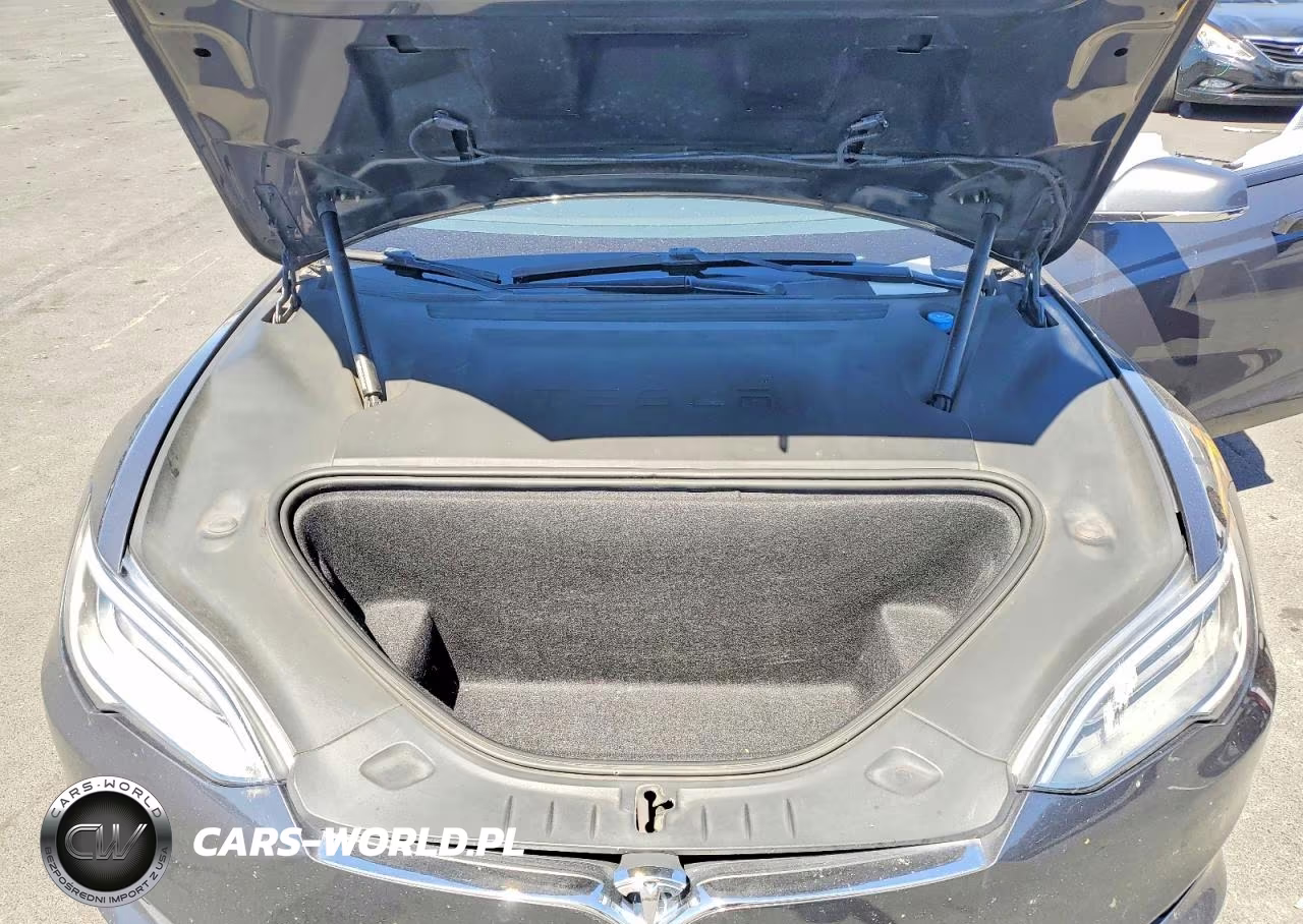 2019 Tesla Model S VIN:5YJSA1E25KF305732 - 11