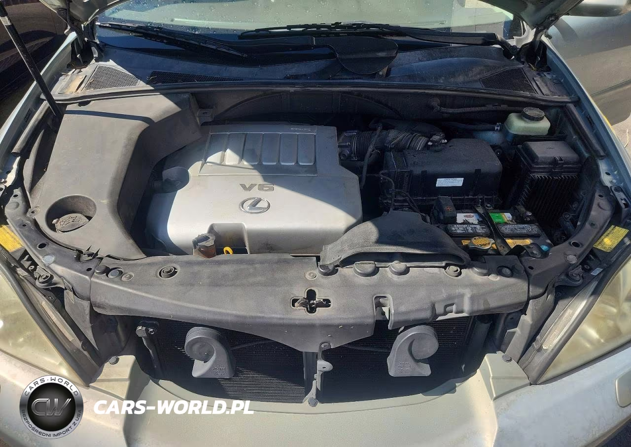 2007 Lexus Rx 350 VIN:JTJHK31U172025825 - 11