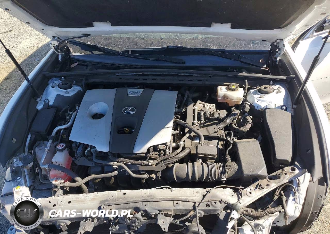 2019 Lexus Es 300H VIN:JTHB21B13K2023163 - 11