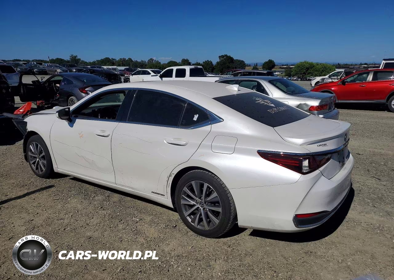 2019 Lexus Es 300H VIN:JTHB21B13K2023163 - 2