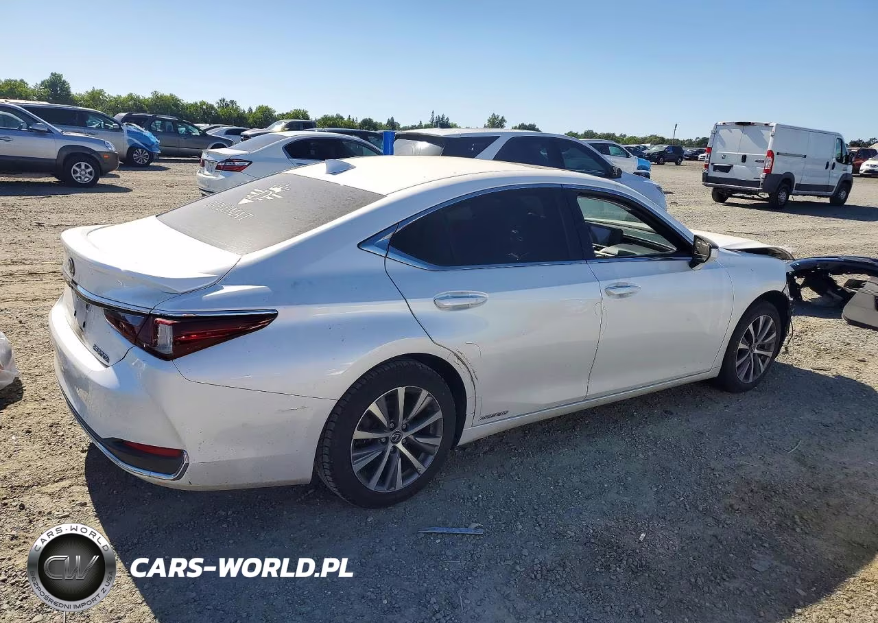 2019 Lexus Es 300H VIN:JTHB21B13K2023163 - 3