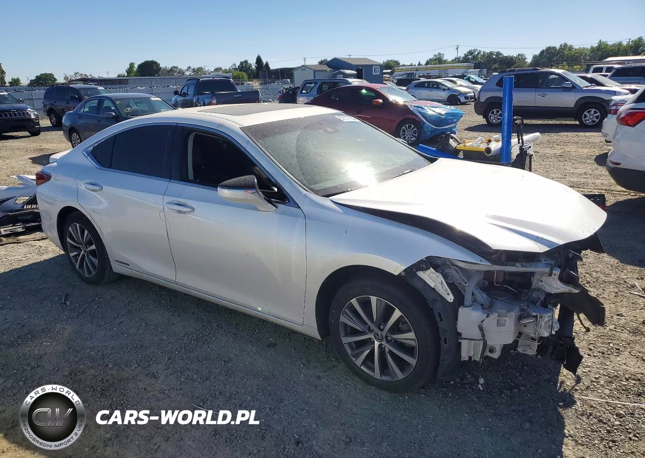 2019 Lexus Es 300H VIN:JTHB21B13K2023163 - 4