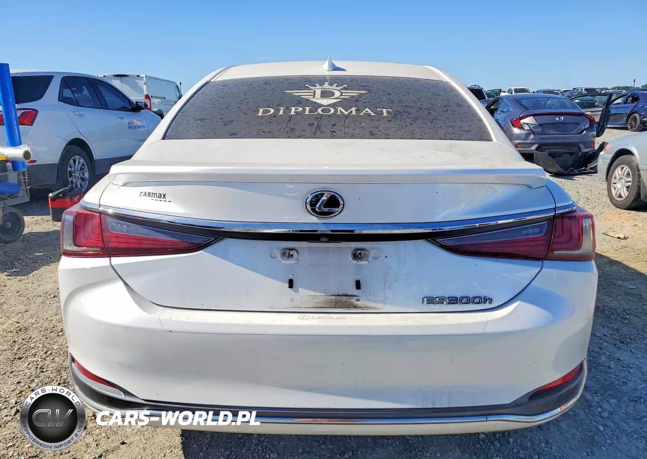 2019 Lexus Es 300H VIN:JTHB21B13K2023163 - 6