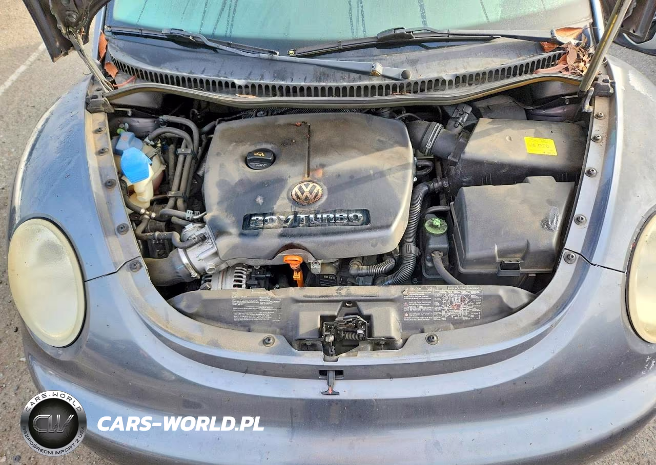 2004 Volkswagen New Beetle Gls VIN:3VWCD31C04M411670 - 11