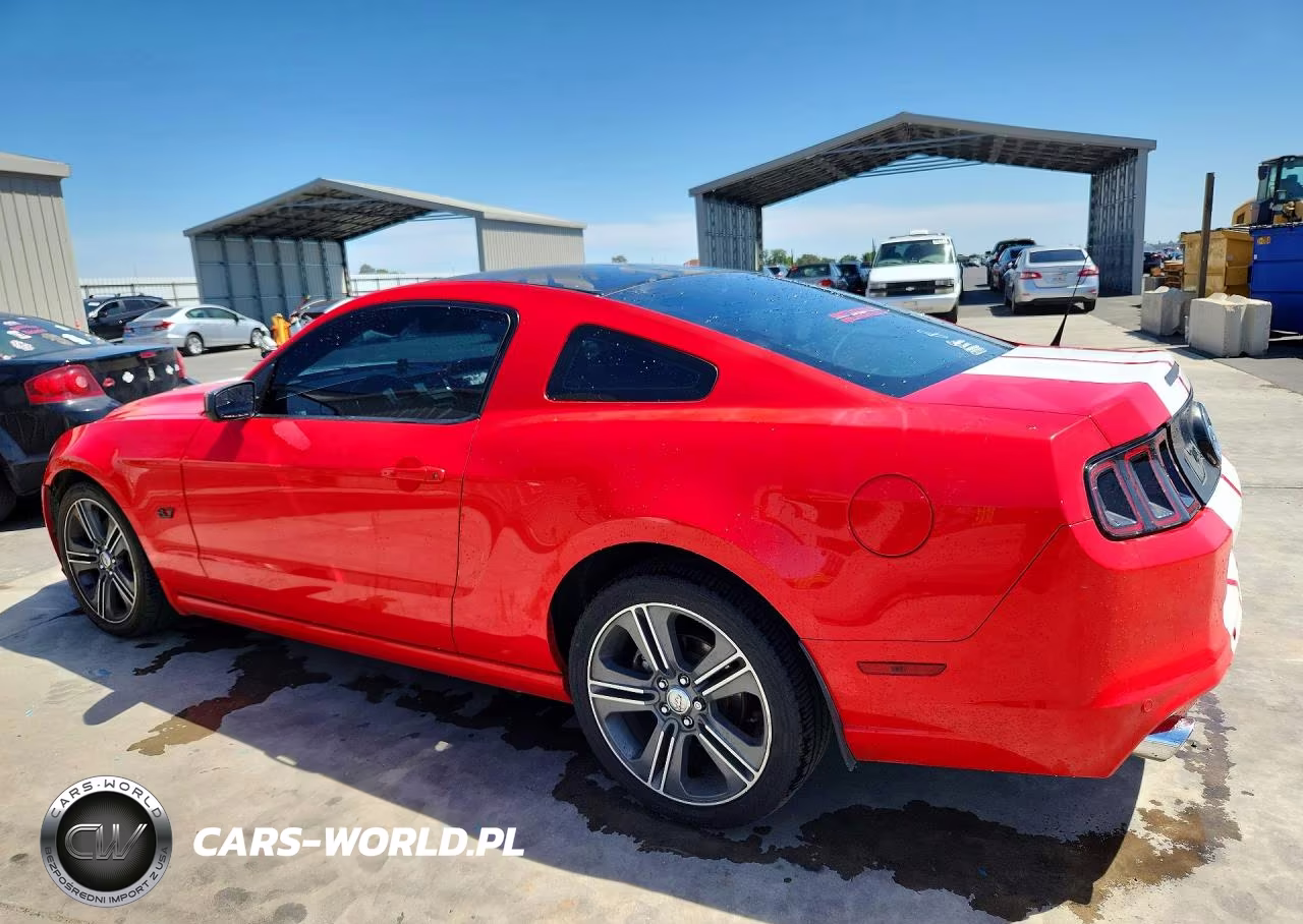 2013 Ford Mustang VIN:1ZVBP8AM7D5262558 - 2