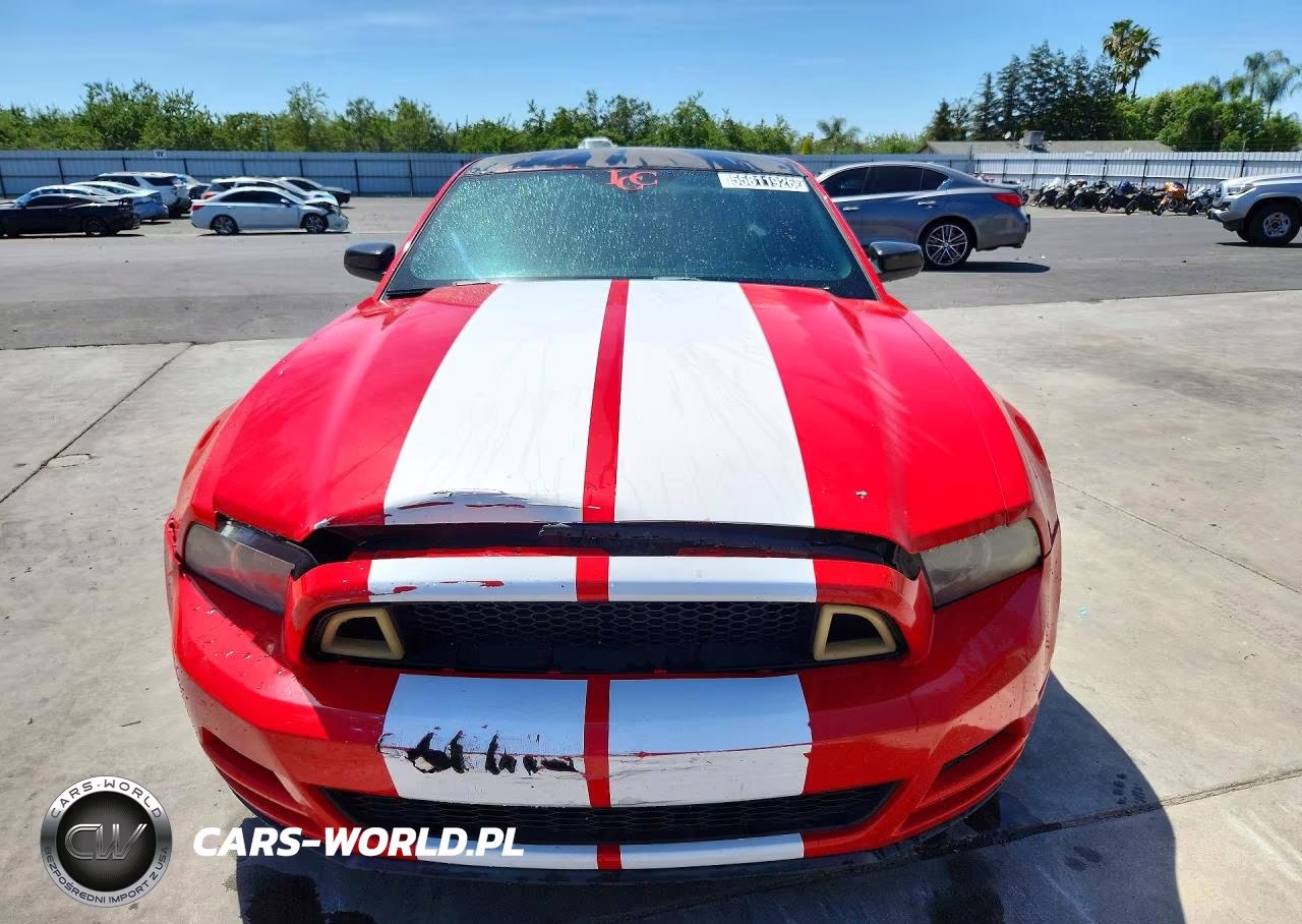 2013 Ford Mustang VIN:1ZVBP8AM7D5262558 - 5
