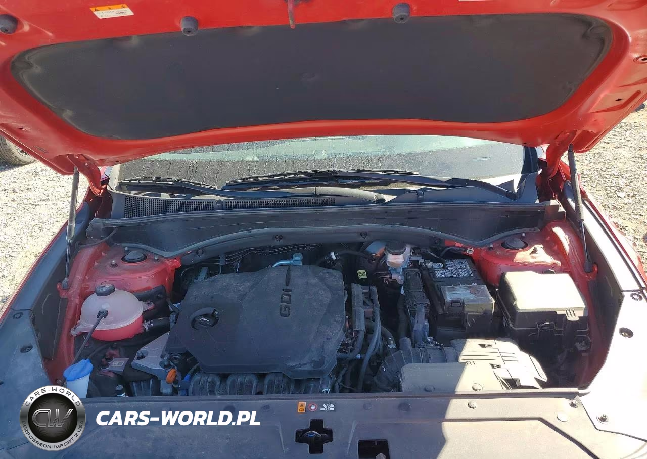 2023 Hyundai Santa Fe Xrt VIN:5NMS6DAJ5PH583603 - 12