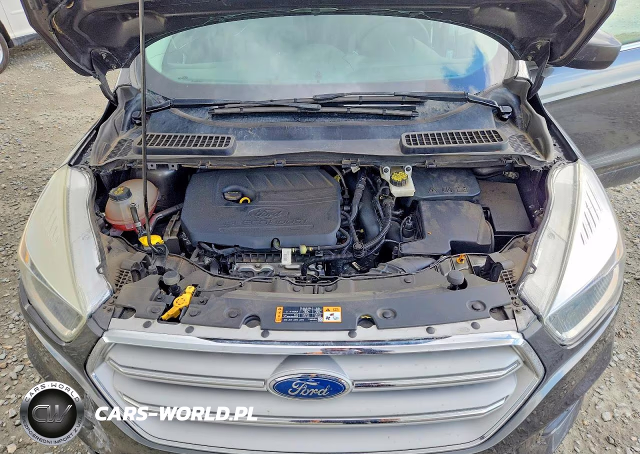 2018 Ford Escape Se VIN:1FMCU9GD9JUA97509 - 12