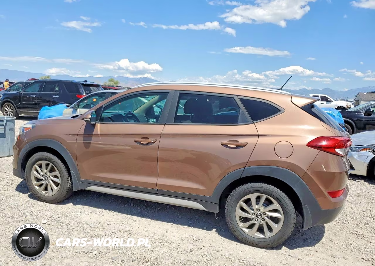 2017 Hyundai Tucson Eco VIN:KM8J3CA22HU421604 - 2