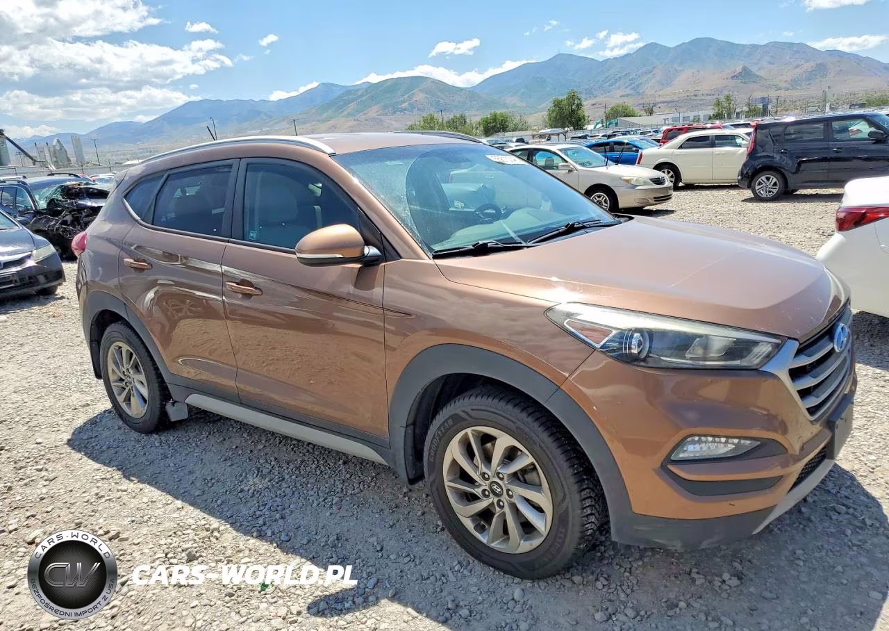 2017 Hyundai Tucson Eco VIN:KM8J3CA22HU421604 - 4
