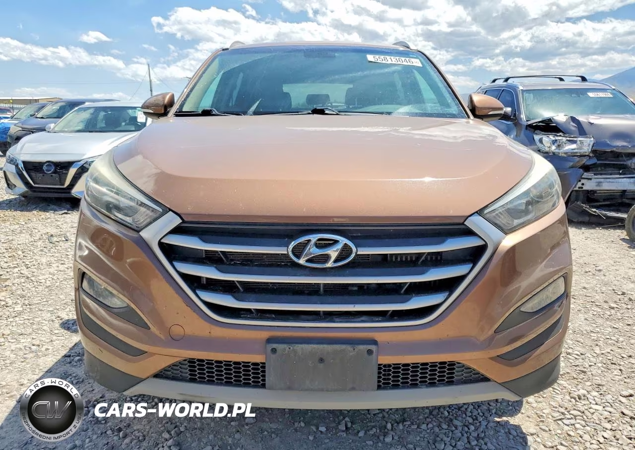 2017 Hyundai Tucson Eco VIN:KM8J3CA22HU421604 - 5