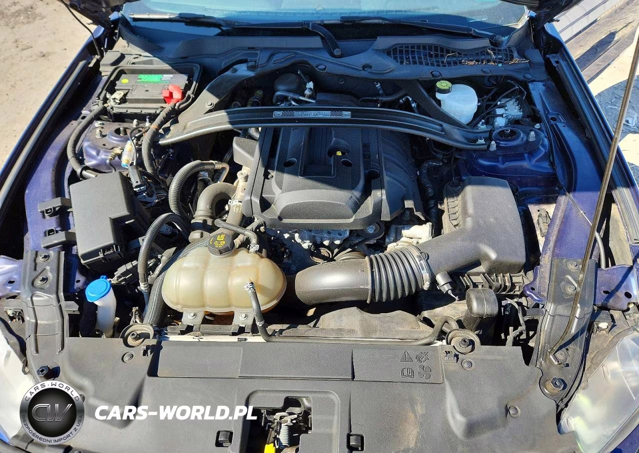 2020 Ford Mustang VIN:1FA6P8TD5L5172606 - 11