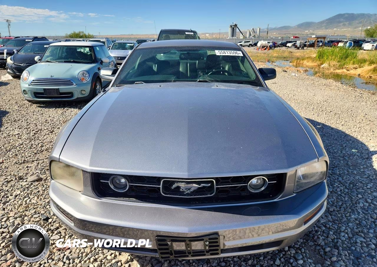 2007 Ford Mustang VIN:1ZVHT80N375250492 - 5