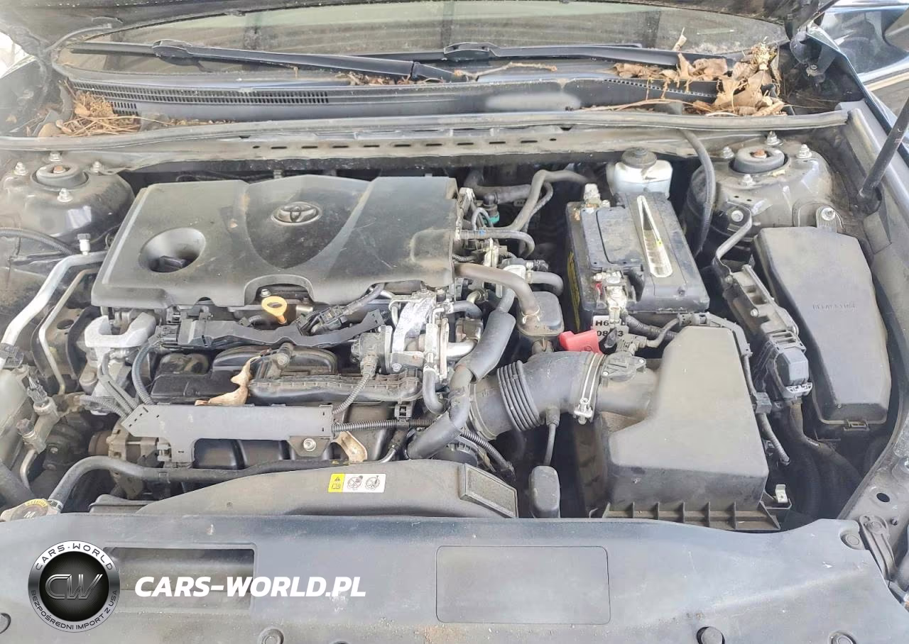 2019 Toyota Camry Le VIN:4T1B11HK8KU816494 - 11