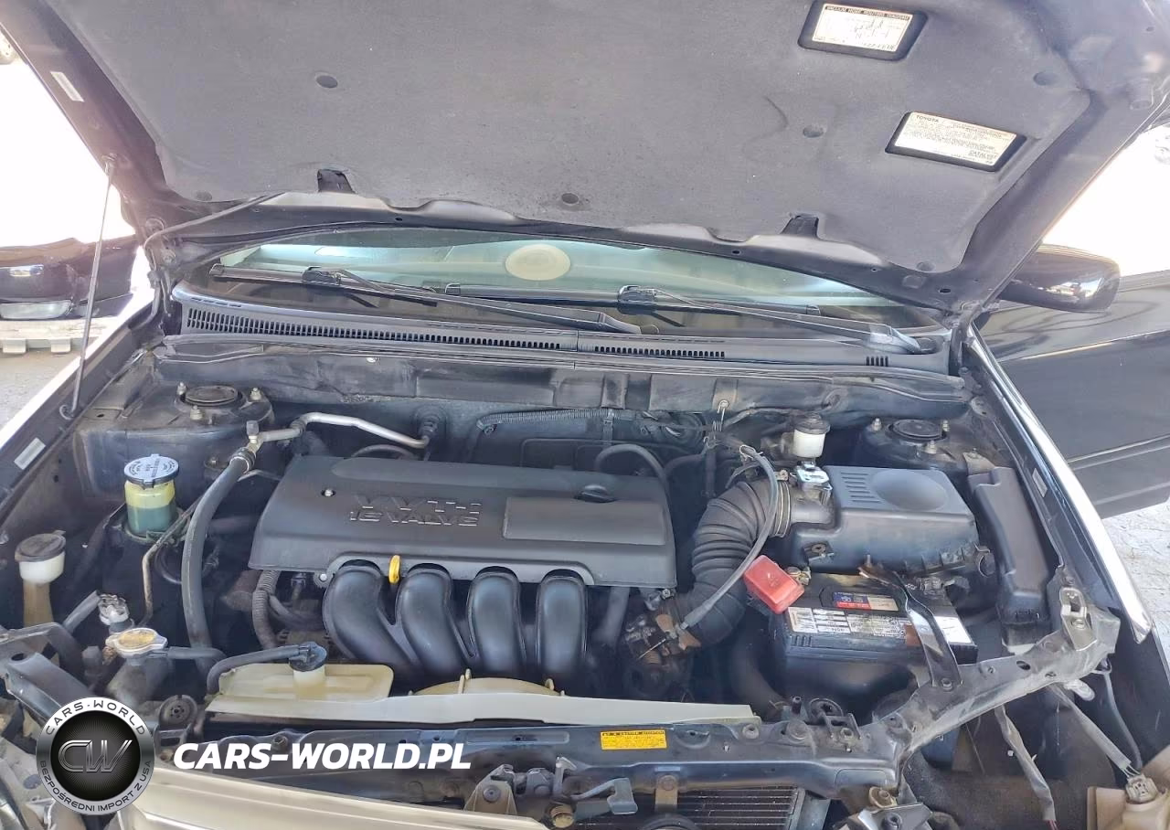 2004 Toyota Corolla Ce VIN:1NXBR32E44Z325172 - 11
