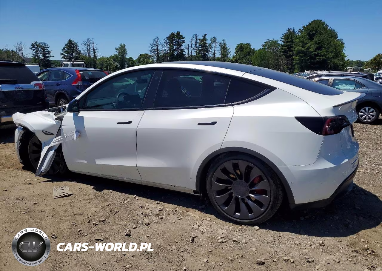 2022 Tesla Model Y VIN:7SAYGDEFXNF307271 - 2
