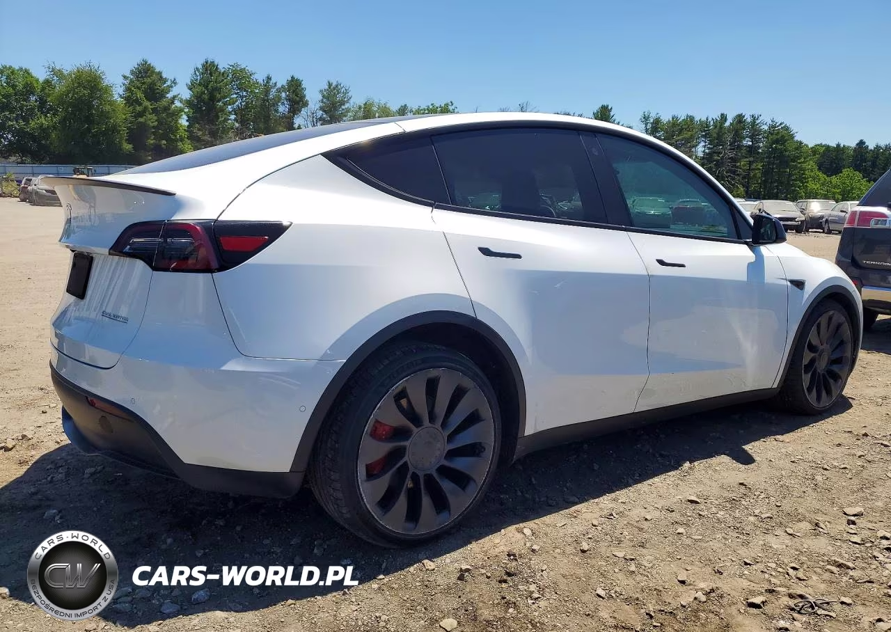2022 Tesla Model Y VIN:7SAYGDEFXNF307271 - 3