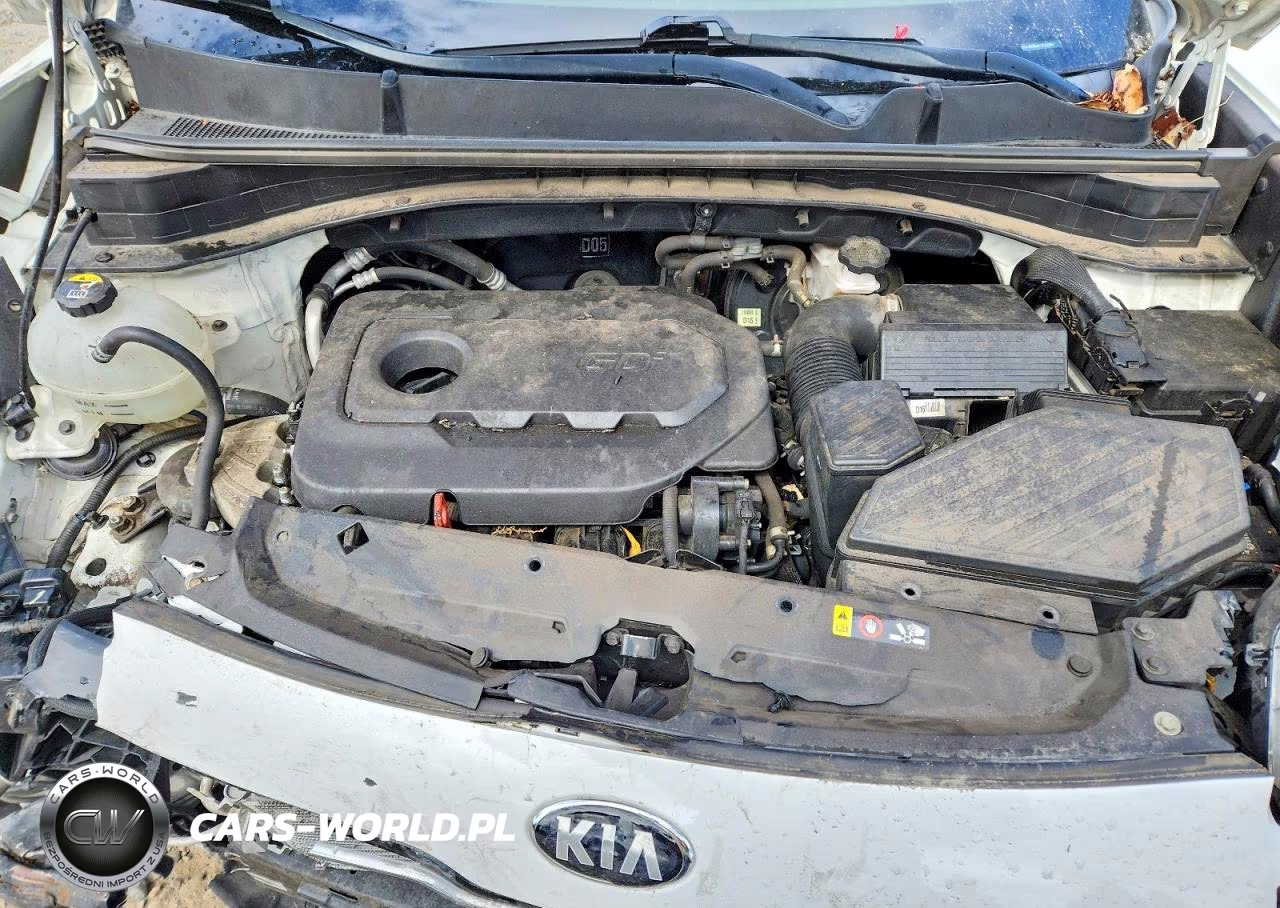 2019 Kia Sportage Lx VIN:KNDPM3AC5K7563942 - 12