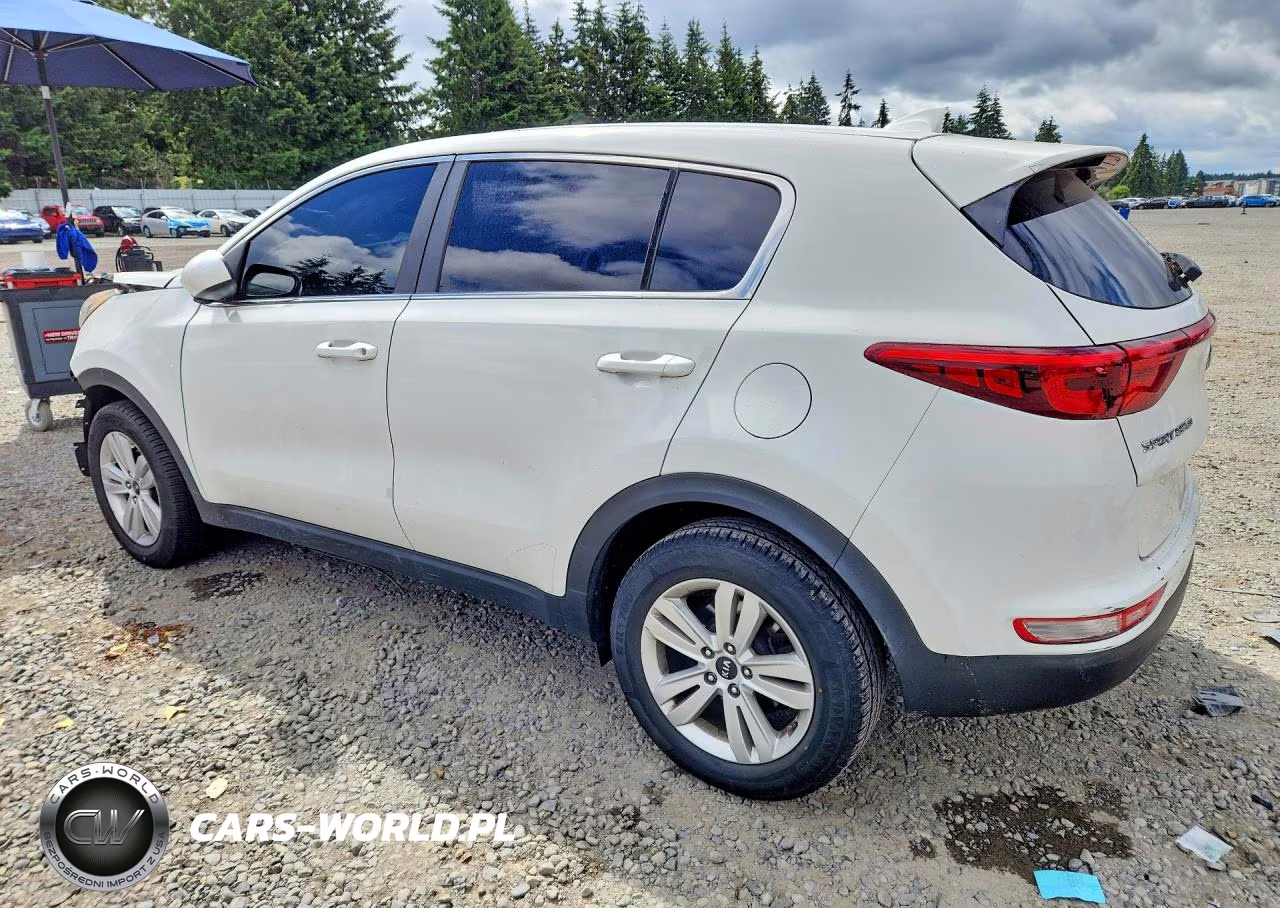 2019 Kia Sportage Lx VIN:KNDPM3AC5K7563942 - 2