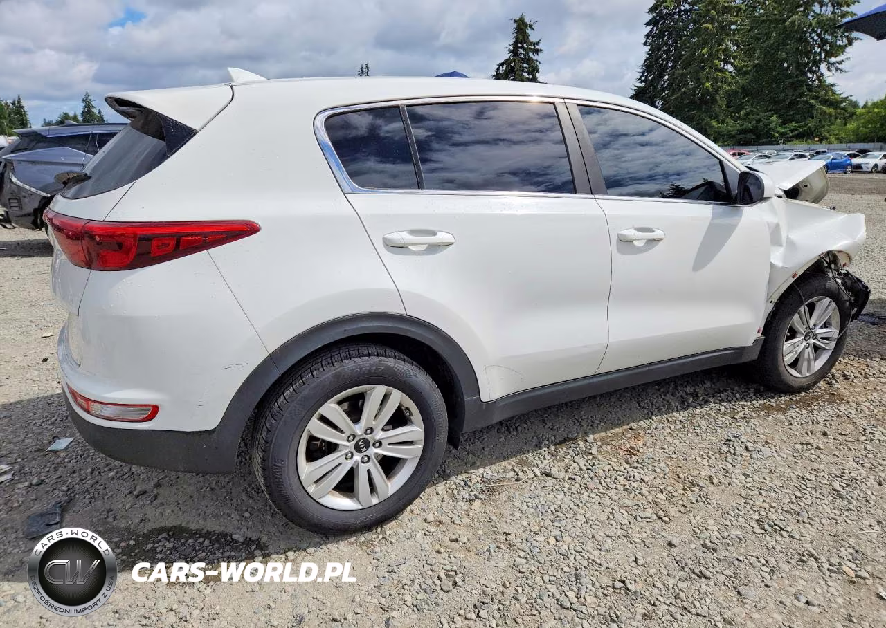 2019 Kia Sportage Lx VIN:KNDPM3AC5K7563942 - 3