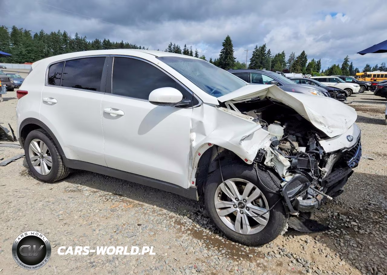 2019 Kia Sportage Lx VIN:KNDPM3AC5K7563942 - 4