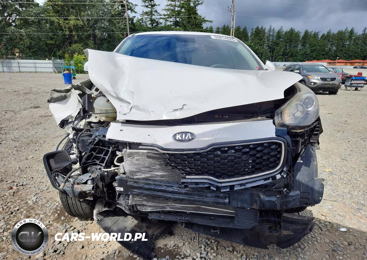 2019 Kia Sportage Lx VIN:KNDPM3AC5K7563942 - 5
