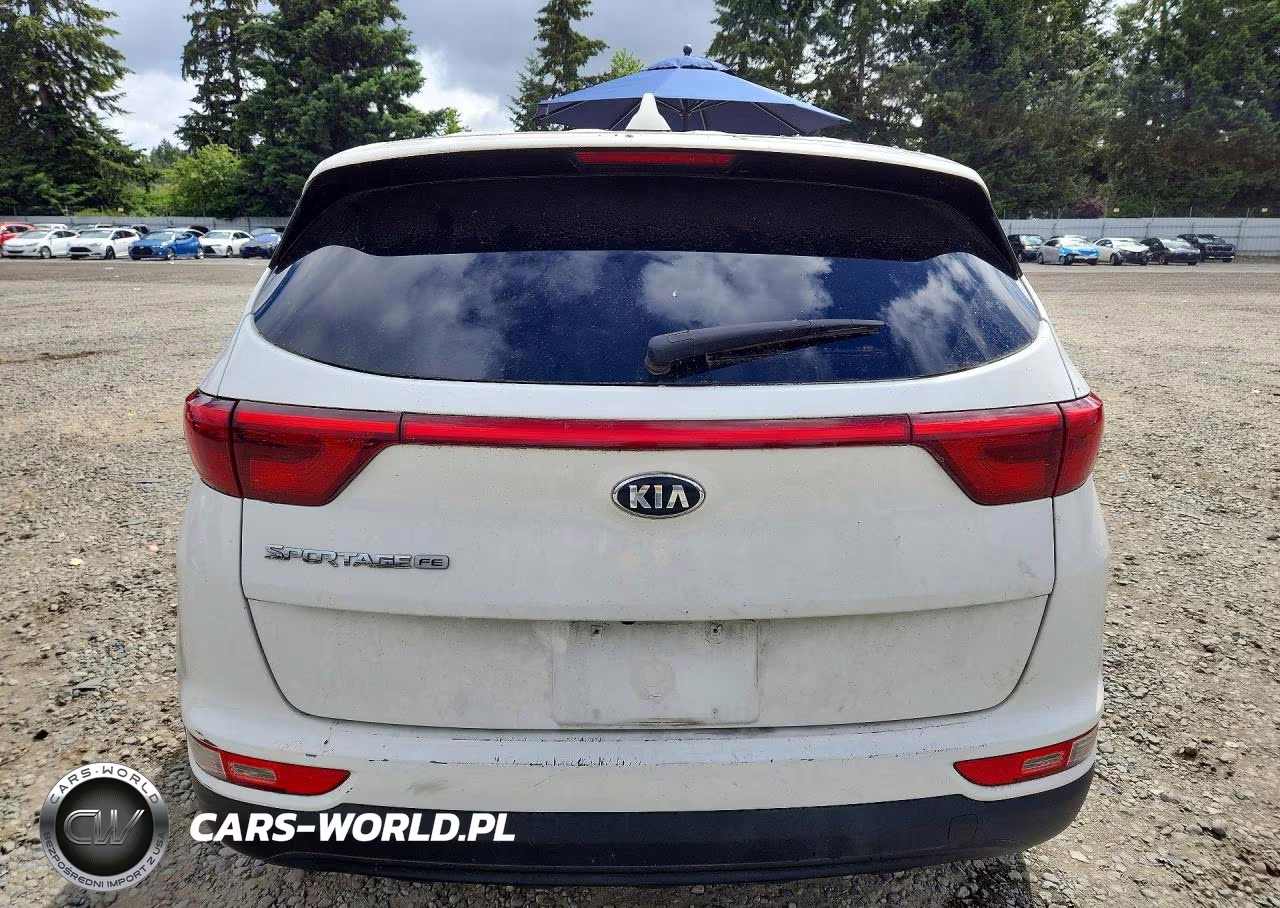 2019 Kia Sportage Lx VIN:KNDPM3AC5K7563942 - 6