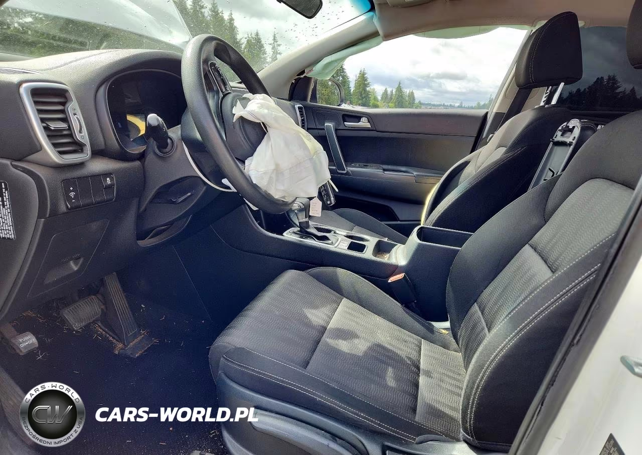 2019 Kia Sportage Lx VIN:KNDPM3AC5K7563942 - 7