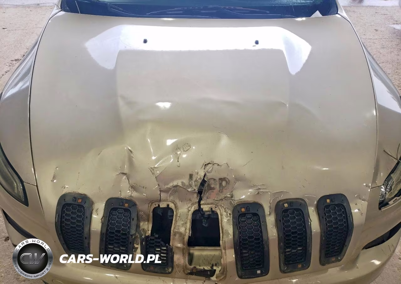 2014 Jeep Cherokee Latitude VIN:1C4PJLCB5EW305427 - 12