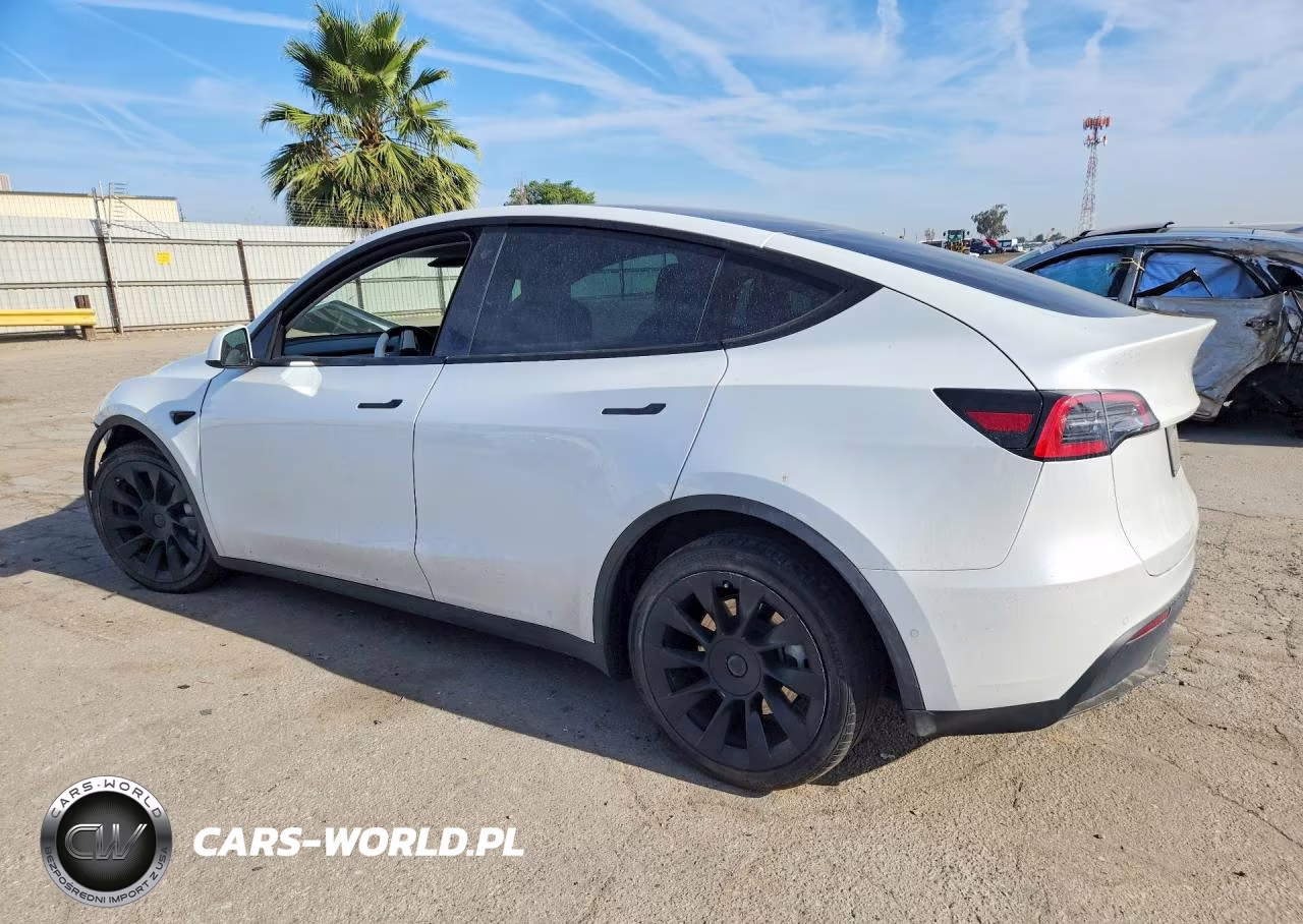 2021 Tesla Model Y VIN:5YJYGAEEXMF217863 - 2