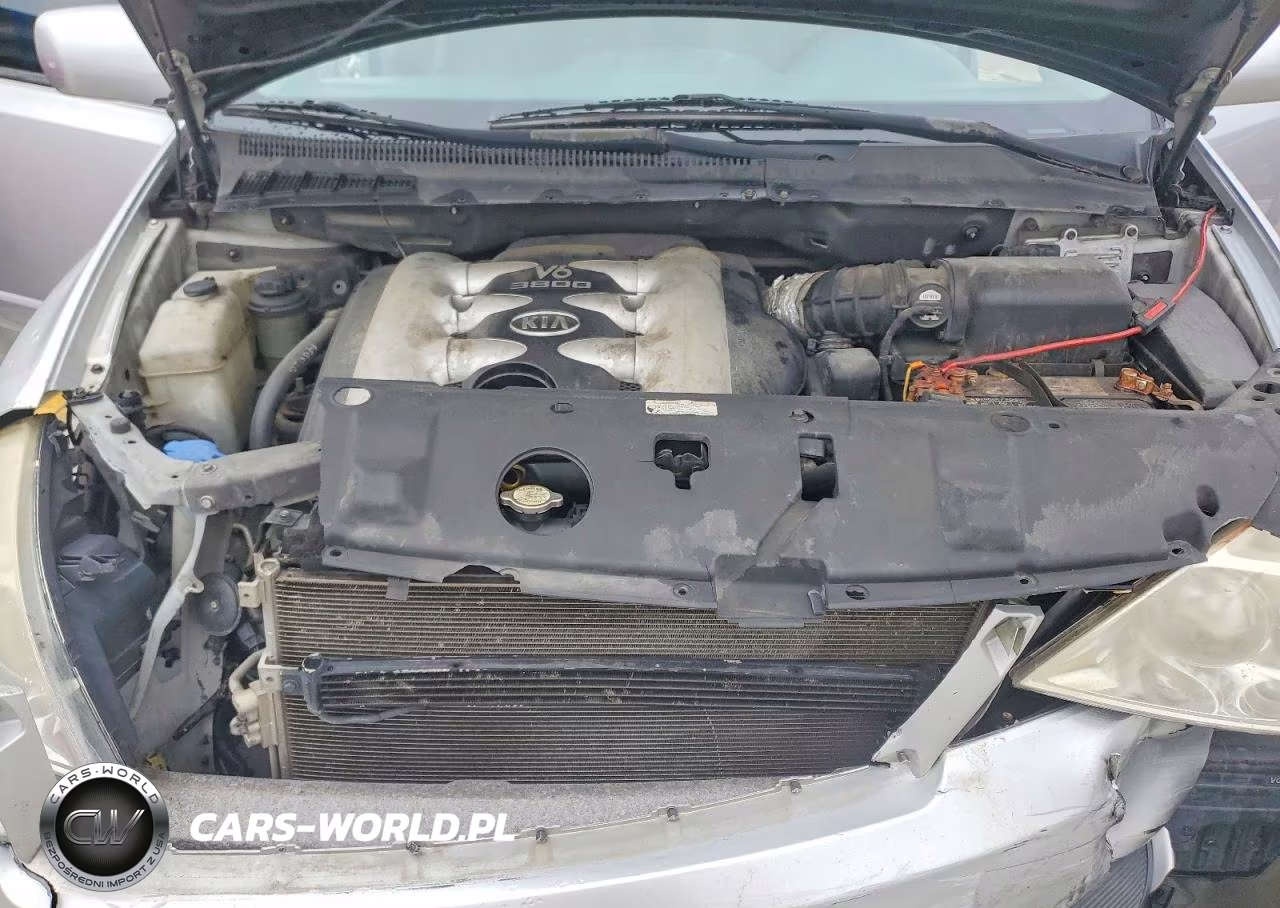 2010 Kia Sedona Lx VIN:KNDMG4C32A6336032 - 12