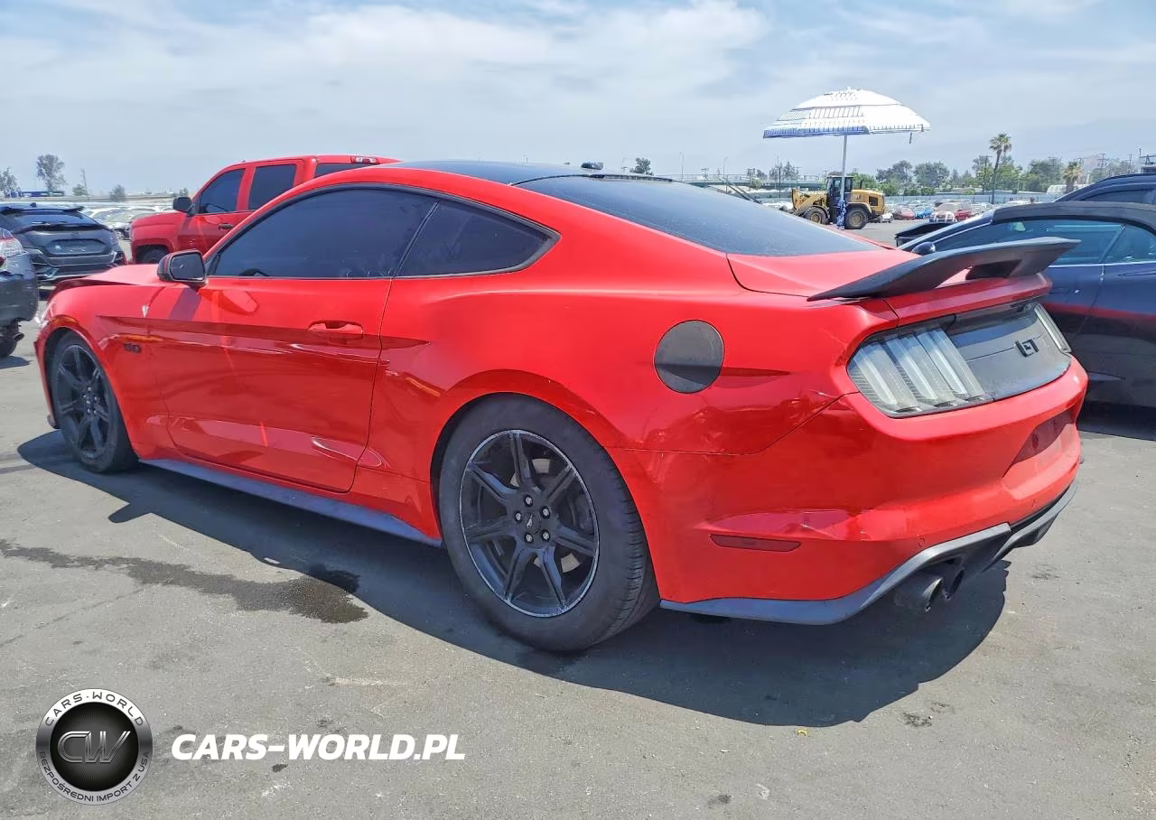 2019 Ford Mustang Gt VIN:1FA6P8CF2K5153057 - 2