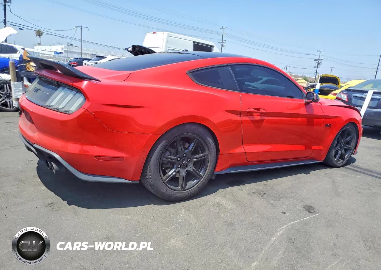 2019 Ford Mustang Gt VIN:1FA6P8CF2K5153057 - 3