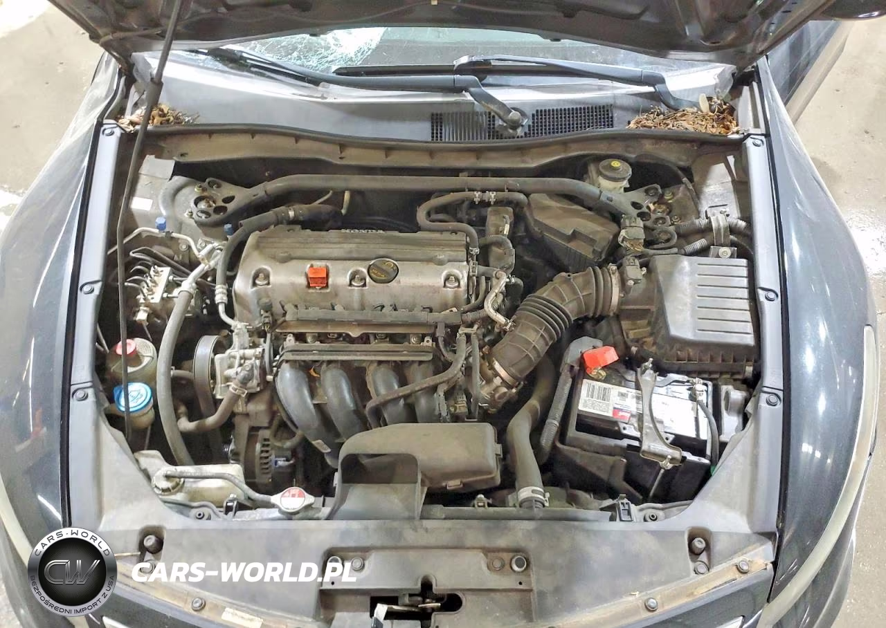 2012 Honda Accord Lx VIN:1HGCS1B30CA020298 - 11