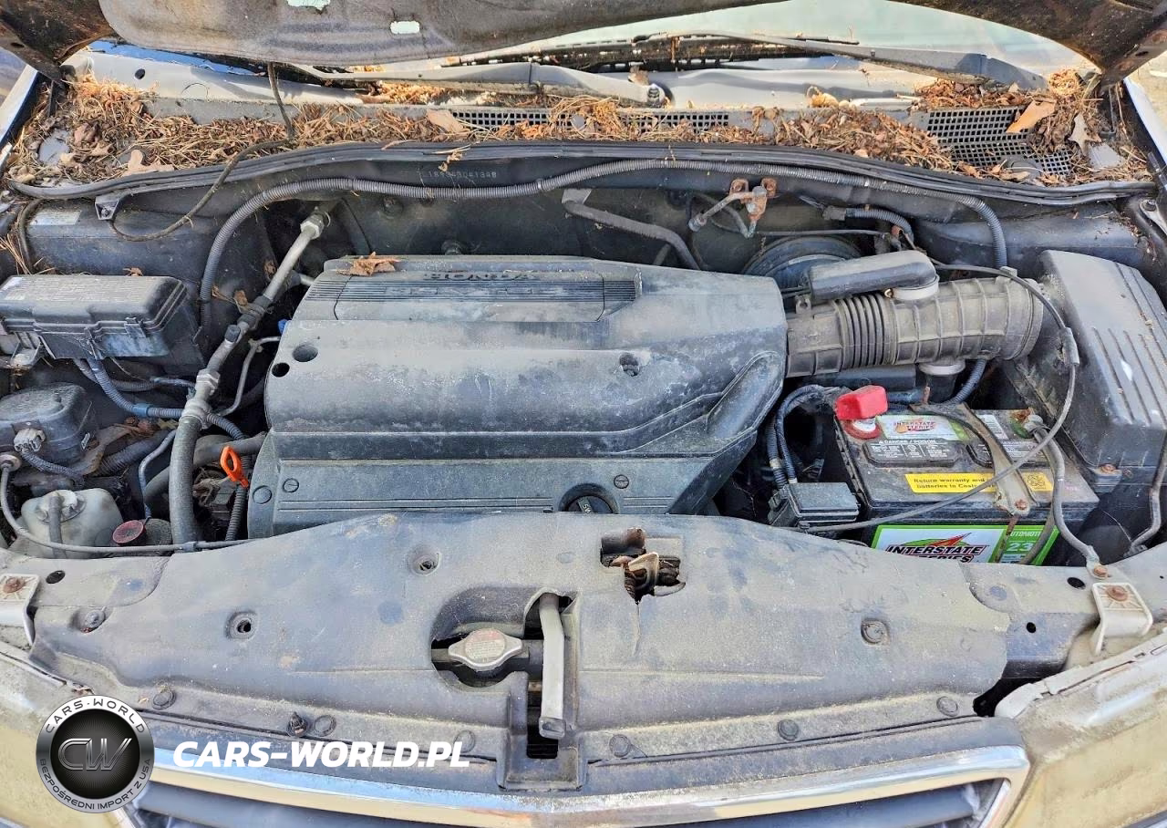 2004 Honda Odyssey Exl VIN:5FNRL18934B041348 - 12