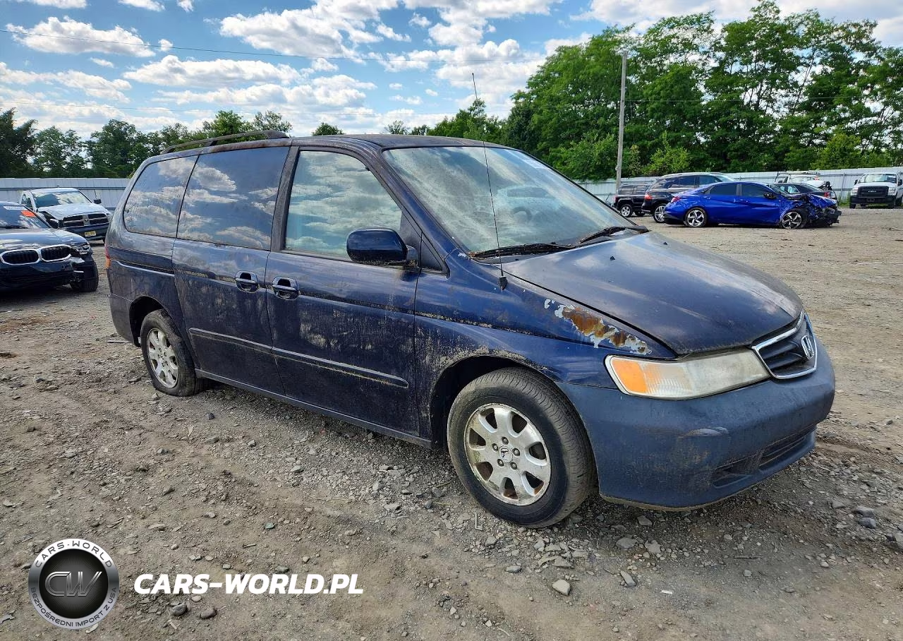 2004 Honda Odyssey Exl VIN:5FNRL18934B041348 - 4