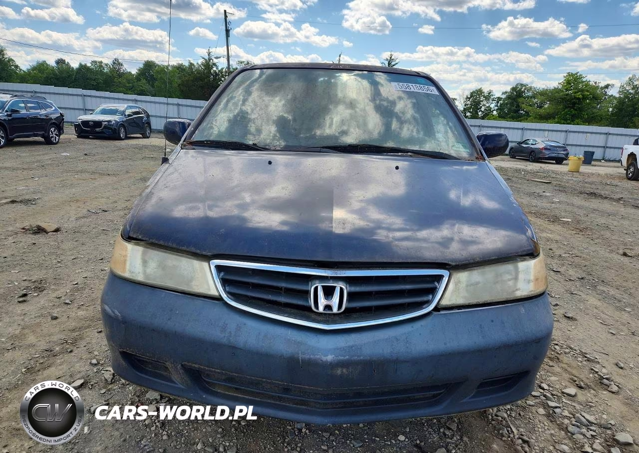 2004 Honda Odyssey Exl VIN:5FNRL18934B041348 - 5