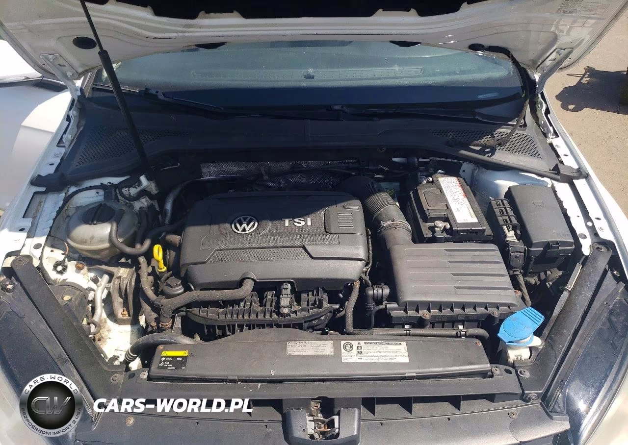 2015 Volkswagen Golf VIN:3VW217AU8FM008110 - 11
