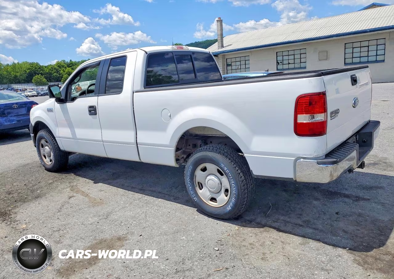 2006 Ford F150 VIN:1FTRX14W76NB73419 - 2